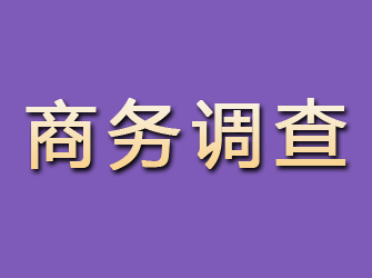 扎兰屯商务调查